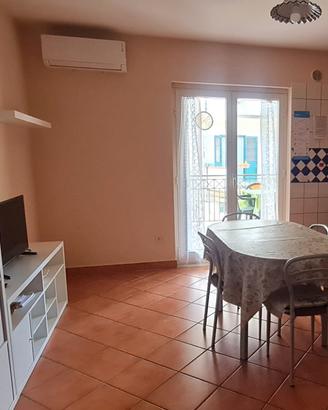 Bilocale a Bellizzi di 45 mq dal 01/09/26