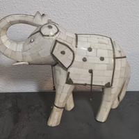 elefante indiano in orso