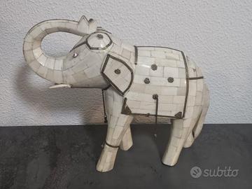 elefante indiano in orso