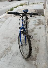 bicicletta Carnielli junior 