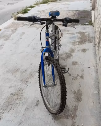 bicicletta Carnielli junior 