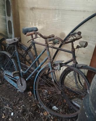 2 Biciclette uomo e donna