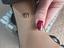 Immagine 6