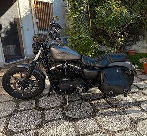 Harley Davidson sportster 883 iron