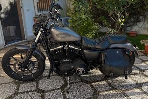 Harley Davidson sportster 883 iron