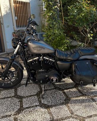 Harley Davidson sportster 883 iron