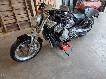 Harley Davidson V rod 