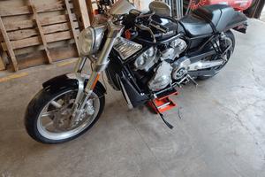 Harley Davidson V rod 