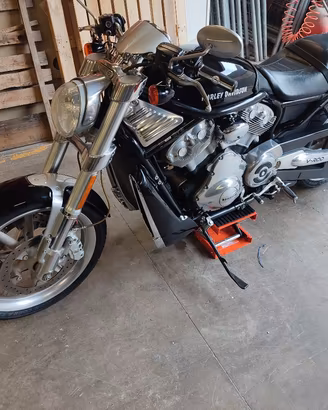 Harley Davidson V rod 