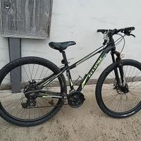 mountain bike  eclipse 