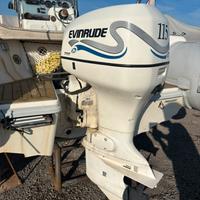 Motore fuoribordo Evinrude 115 Ficht