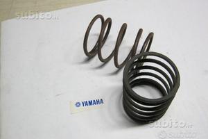 Molla variatore quad