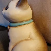 Gatto THUN