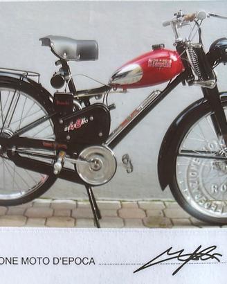 AQUILOTTO 48 CC BIANCHI