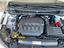 Immagine 15
