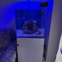 Acquario Marino Vasca Artigianale su Misura