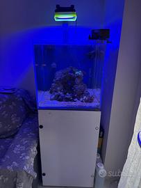 Acquario Marino Vasca Artigianale su Misura