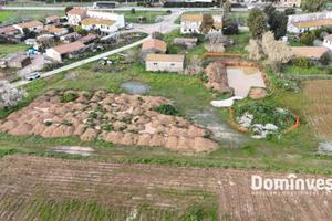 Rustico / Casale di 180 m² con 5 locali a Capalbio