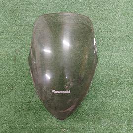 Cupolino kawasaki er6-fn