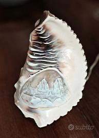 Lampada artigianale ricavata da una conchiglia