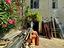 Immagine 27