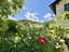 Immagine 24