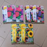 Semi di fiori