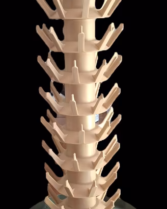 scolabottiglie ad albero in plastica, 81 posti.