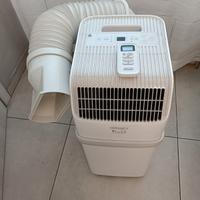 condizionatore portatile 