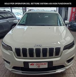 JEEP Cherokee 2.2 Mjt II 4WD Active Drive II Overl