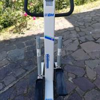 Stepper fitness