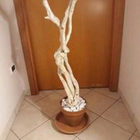 Scultura  in legno