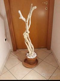 Scultura  in legno