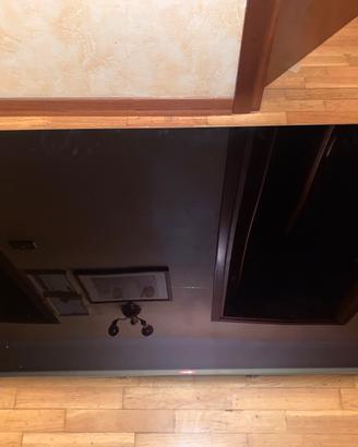 Tv sony oled
