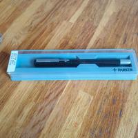 Penna stilografica Parker
