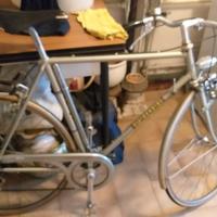 Bicicletta Priori sportiva cc56