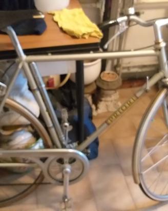 Bicicletta Priori sportiva cc56
