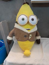 spongi