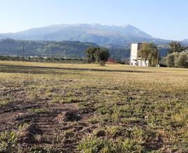 Terreno edificabile/agricolo