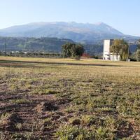 Terreno edificabile/agricolo