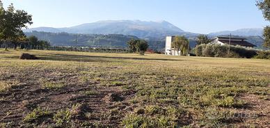 Terreno edificabile/agricolo