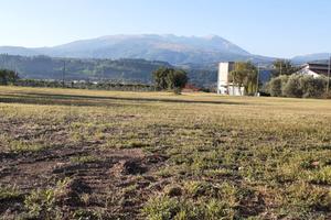 Terreno edificabile/agricolo