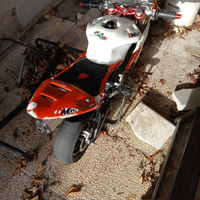 Minimoto DM bzm