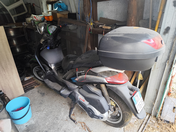 Piaggio Beverly 500