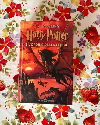 Libro “Harry potter e l’ordine della fenice”