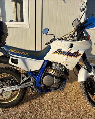 Honda Dominator