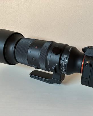 Mirrorless Sony Alpha 7 iv zoom Sigma 60 600 sport