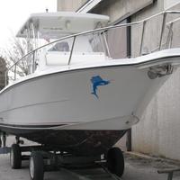 Zaniboni f270 bluetime
