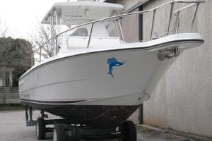 Zaniboni F 270 Bluetime