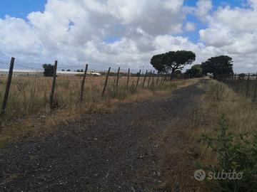 Terreno agricolo infernetto